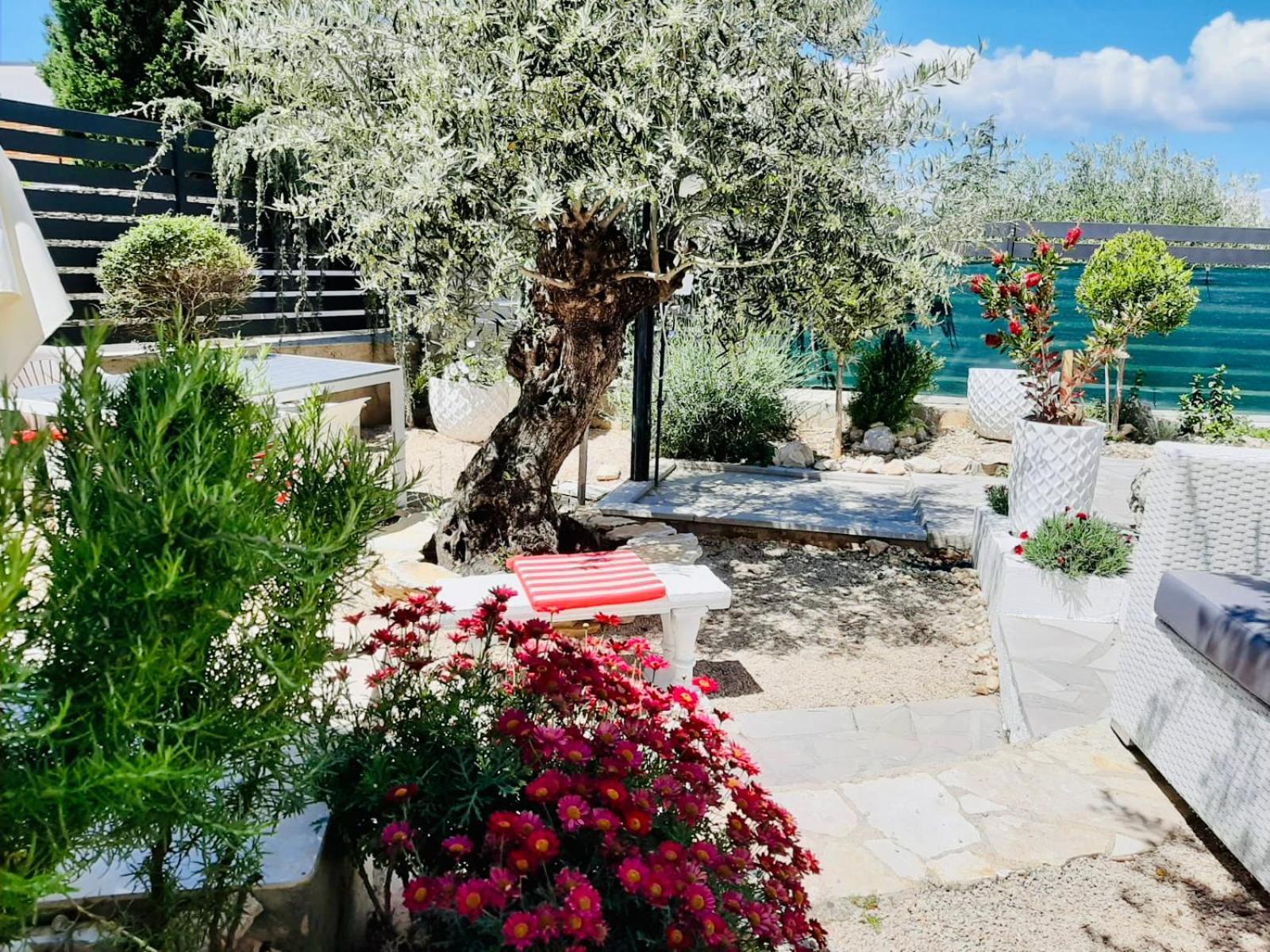 Apartment Evamar, Island Krk Punat